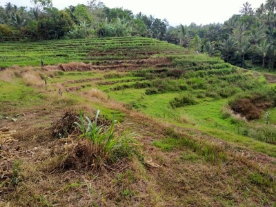 IMG-20210228-WA0015