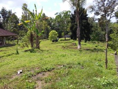 “Beautiful Land @ Tabanan”