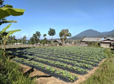 “Beautiful Building Land Near Tanah Lot”